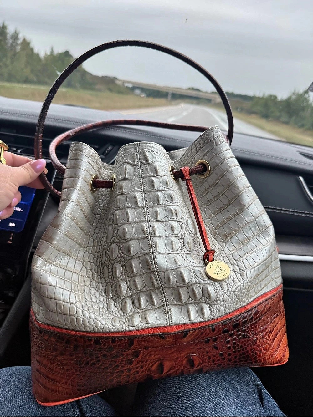 Brahmin Melinda colorblocked croc-embossed leather bucket purse